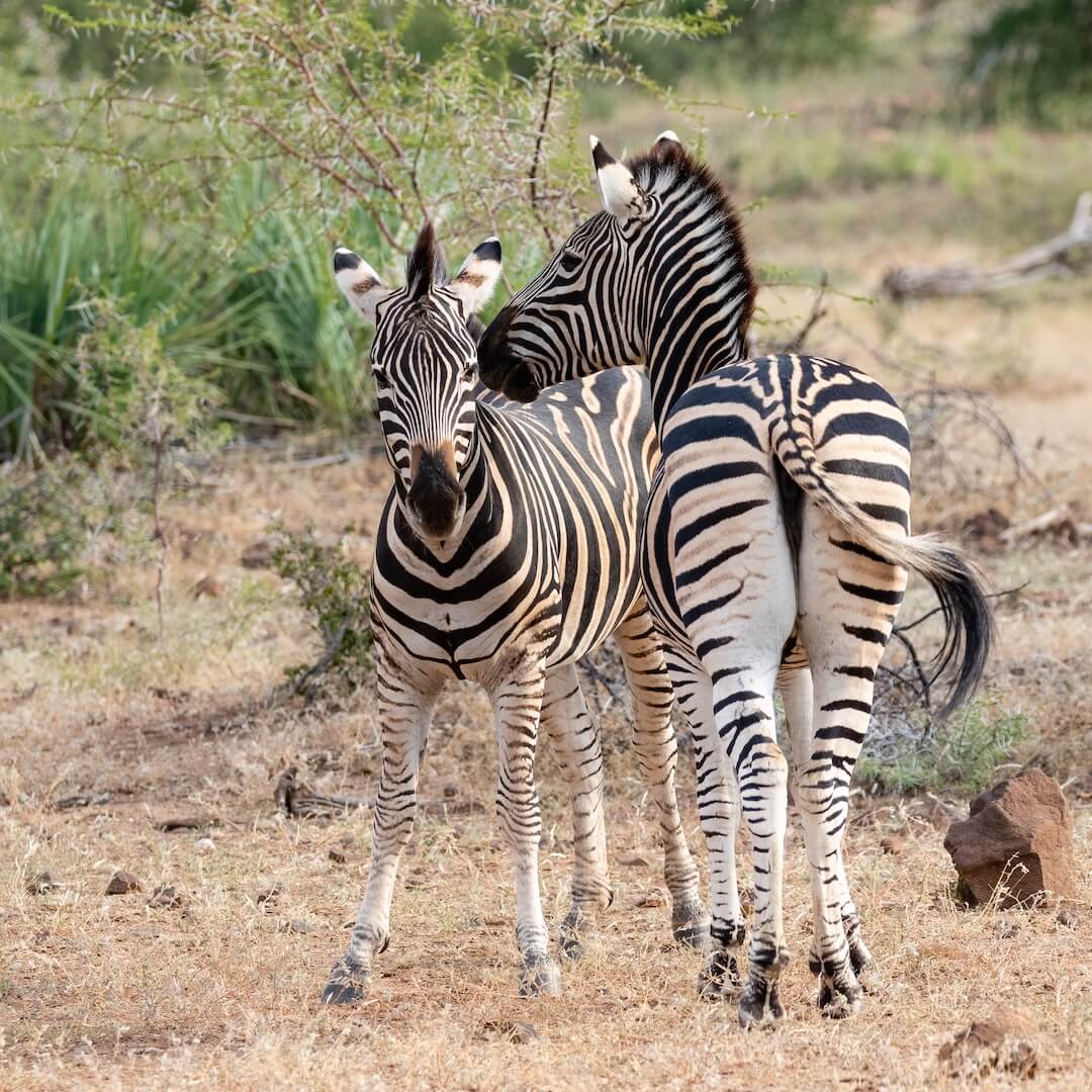 AdobeStock_344222847