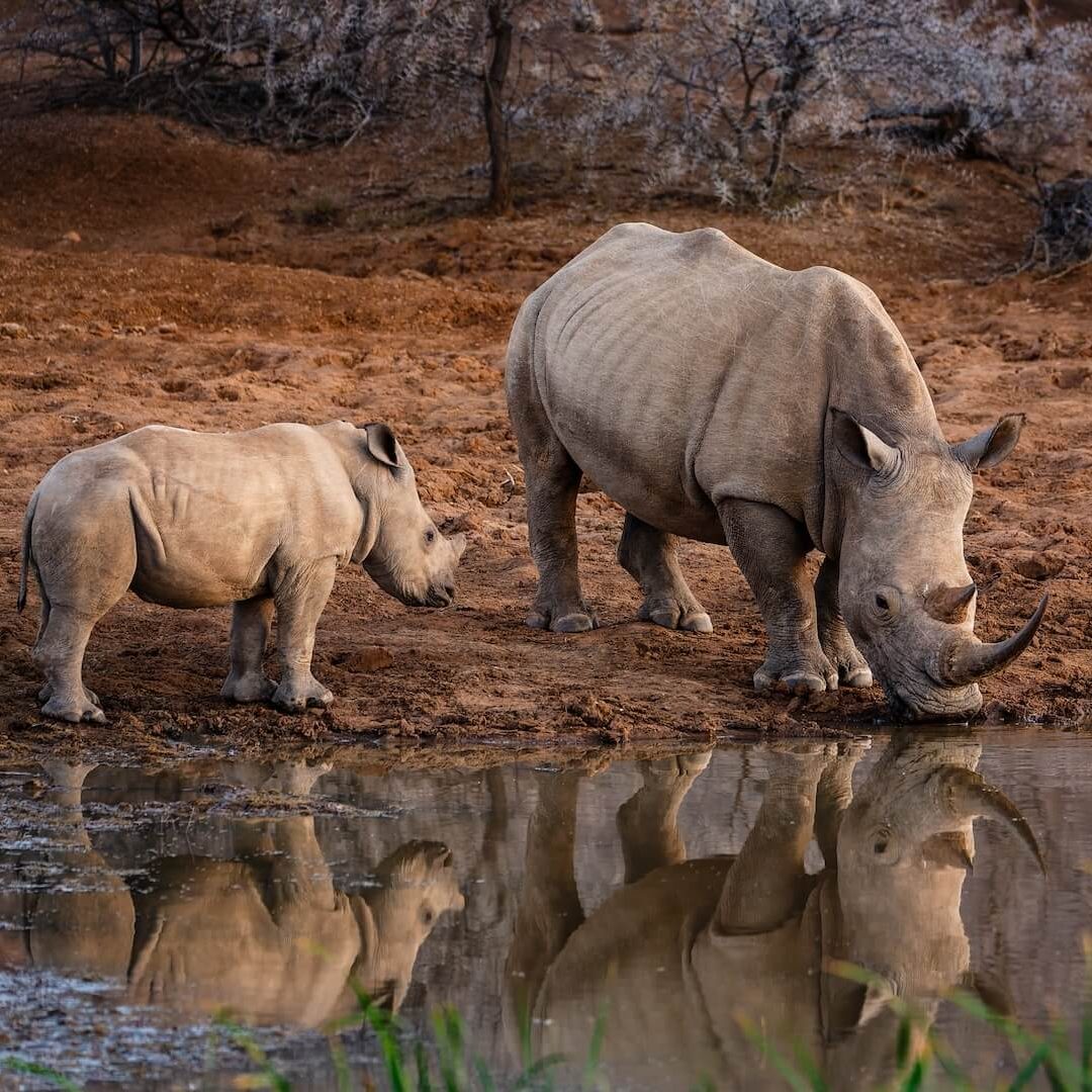 AdobeStock_520346435 e1767002281964